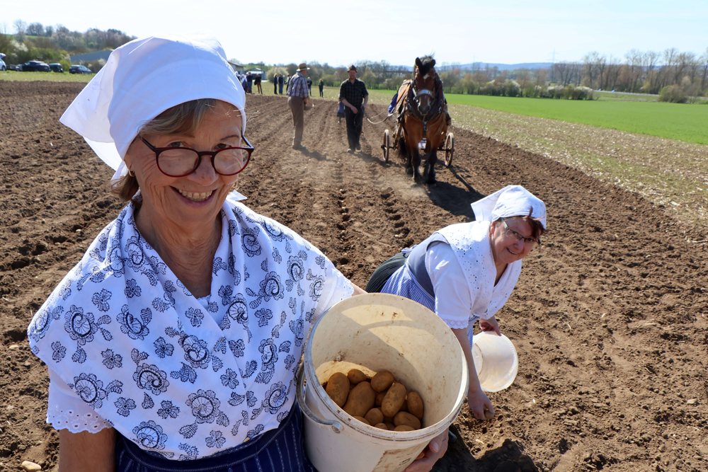 Tag der Landwirtschaft in Amöneburg Frau im Trachtenkleid auf dem Kartoffelfeld