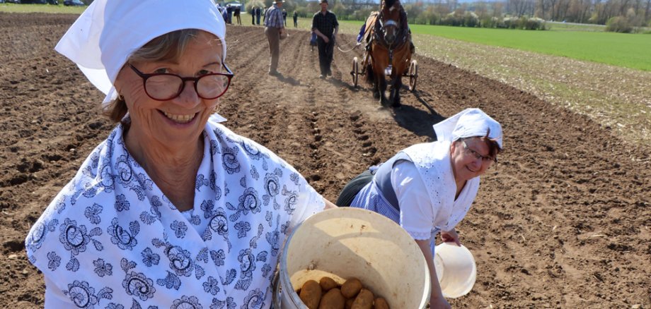 Tag der Landwirtschaft in Amöneburg Frau im Trachtenkleid auf dem Kartoffelfeld