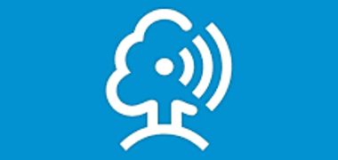 Logo Digitale Dorflinde